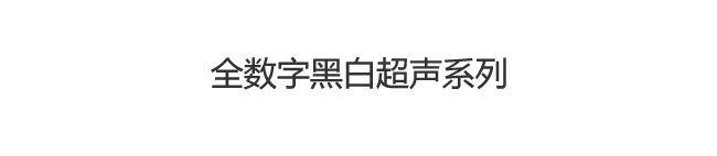 黑白超声诊断系统