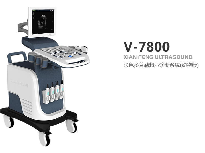 彩色多普勒动物超声诊断仪